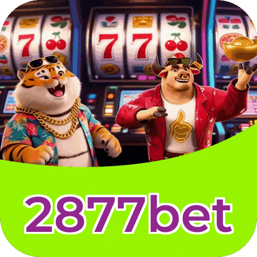 Comparação APP mobile vs versão web da 2877bet